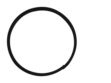 SEALING RING-SMALL, TAW-1164, OEM-1941831, IND-12853L