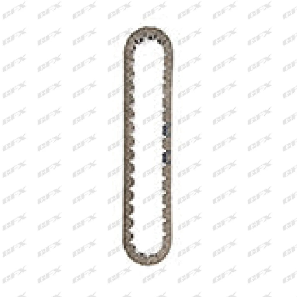 CHAIN - BW4404.4346 X 1.25 X 74 (5.0L) (2 BLUE LINKS SEPARATED BY 1 LINK) BORG WARNER 96-01 IND# HV070 OEM# 375066